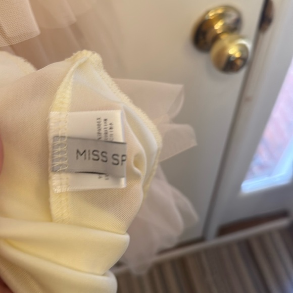 Elegant Cream Layered Tulle Skirt - Picture 5 of 7